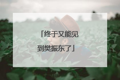 终于又能见到樊振东了